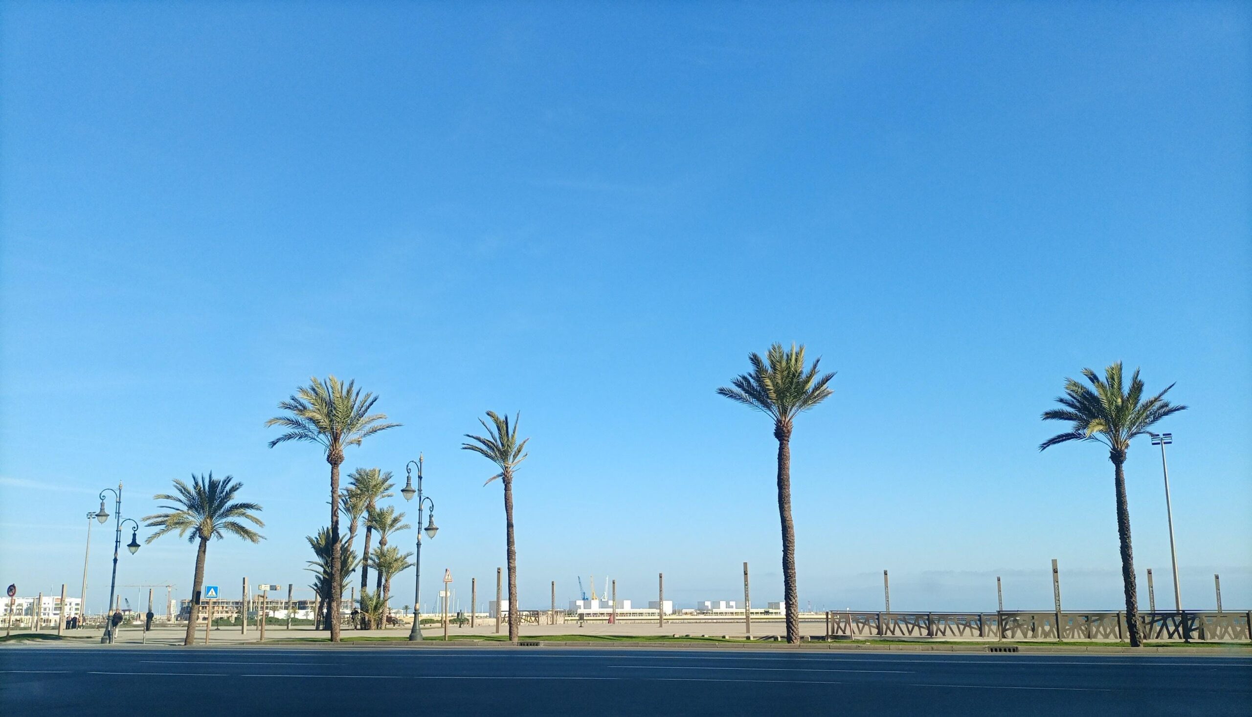 Californian Palm Trees Take Over Drought-Hit Morocco: Washingtonia palm trees line Avenue Mohammed V in the Marina Bay area of Tangier. Photo by Ahlam Ben Saga